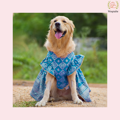 Sky Blue Brocade Dog Lehenga Choli Dress - Wedding Outfit