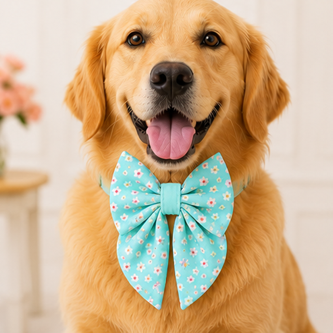  Sky Blue Floral Dog Bow Collar
