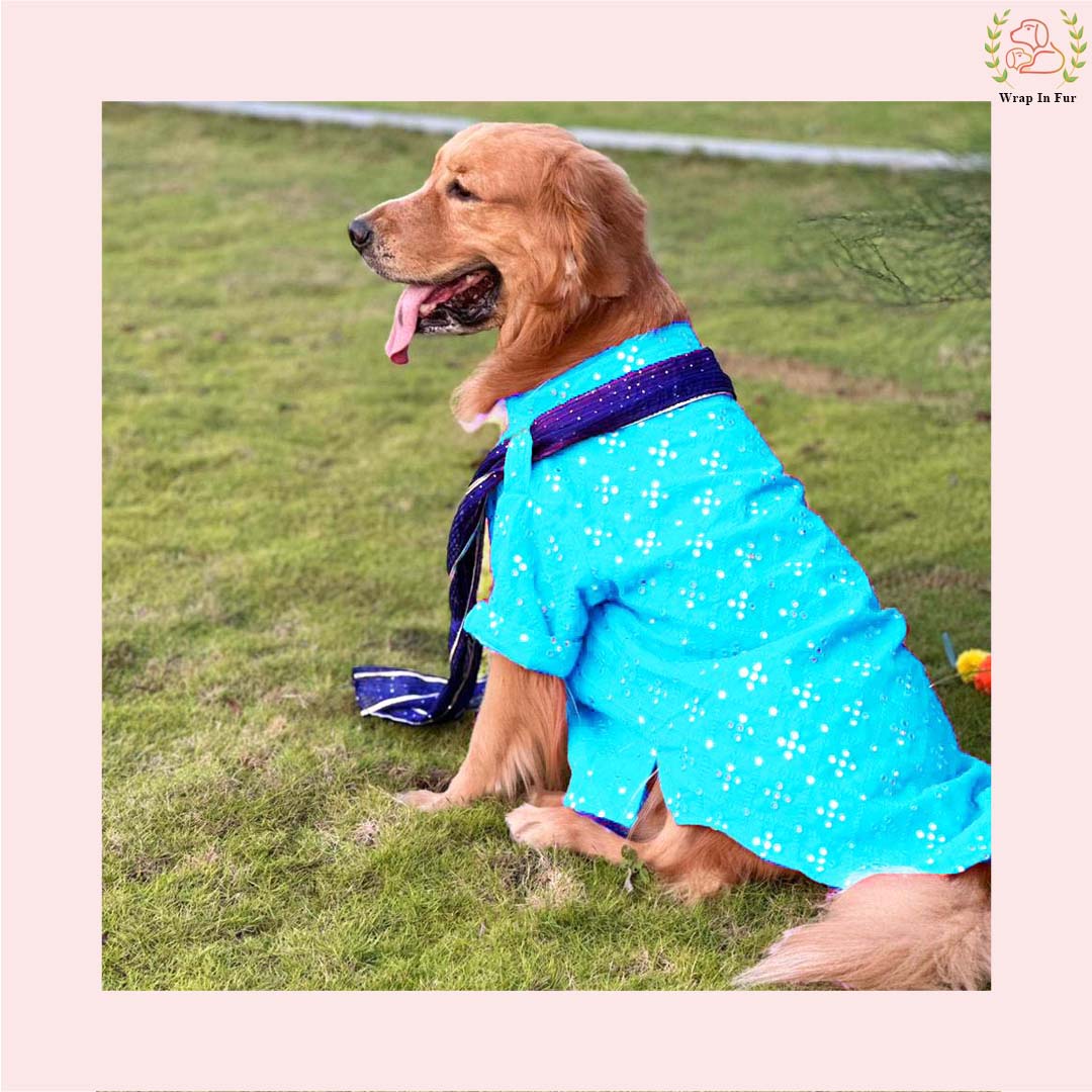 Sky Blue Mirror Work Dog Kurta with Navy Dupatta - Indian Dog Ethnic Wear