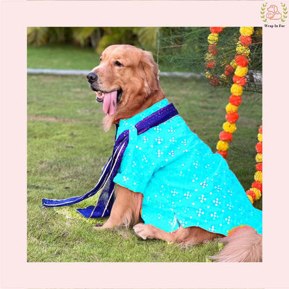 Sky Blue Mirror Work Dog Kurta with Navy Dupatta - Indian Dog Ethnic Wear