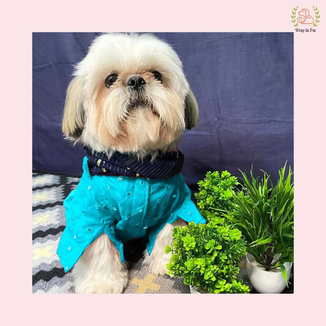 Sky Blue Mirror Work Dog Kurta with Navy Dupatta - Indian Dog Ethnic Wear