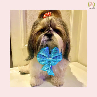 Sky Blue Sequin Dog Bow - Shimmering Icy Holiday Pet Hair Bow Accessory
