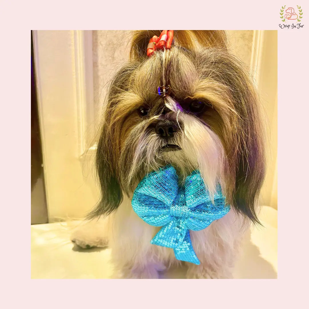 Sky Blue Sequin Dog Bow - Shimmering Icy Holiday Pet Hair Bow Accessory