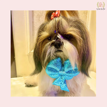 Sky Blue Sequin Dog Bow - Shimmering Icy Holiday Pet Hair Bow Accessory