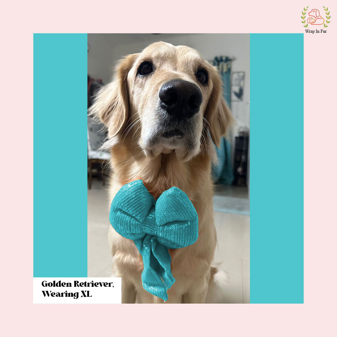 Sky Blue Sequin Dog Bow - Shimmering Icy Holiday Pet Hair Bow Accessory