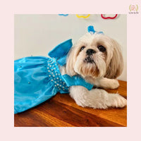 Sky Blue Satin Dog Princess Dress - Pearl Embellished Party Gown