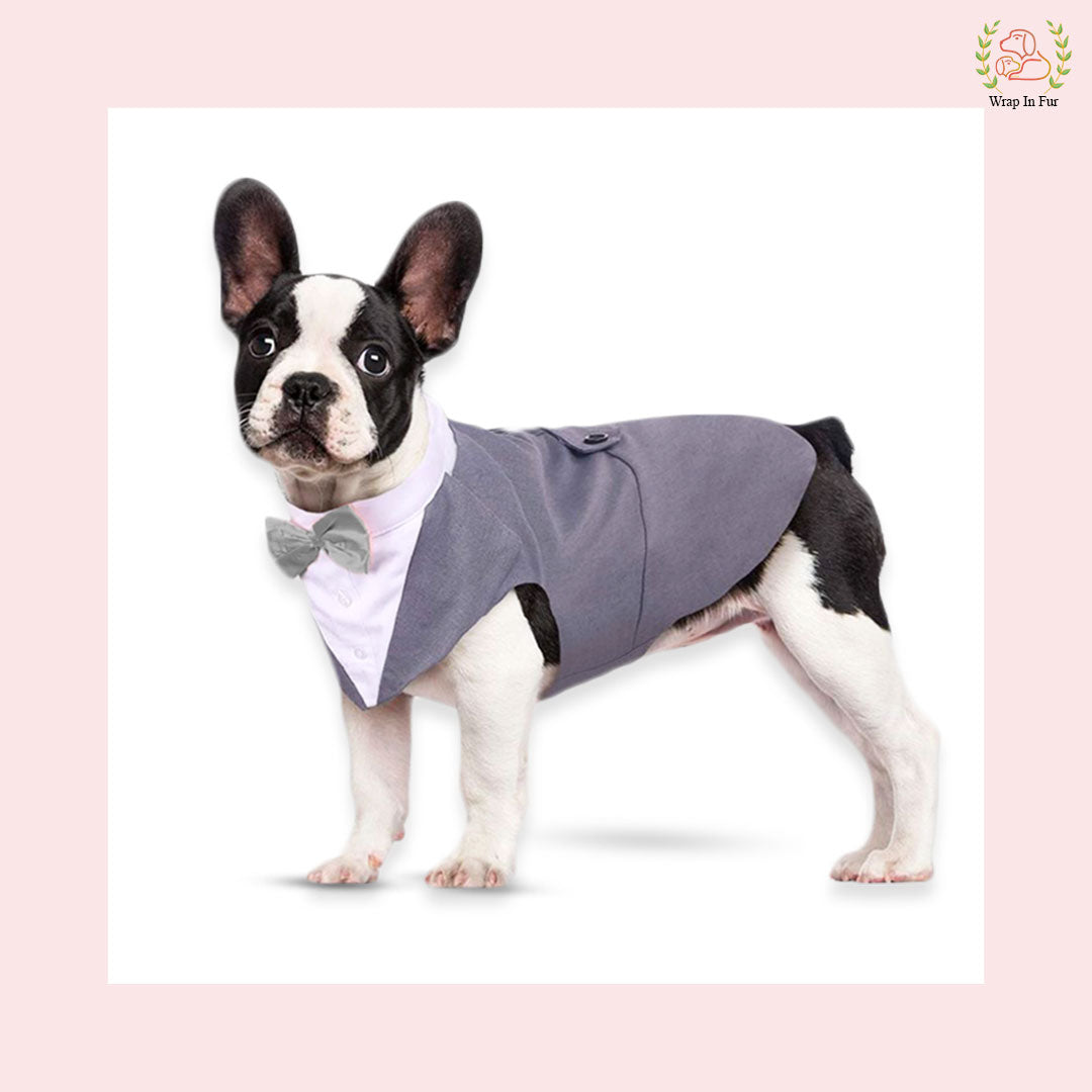 Small dog grey cape tuxedo bandana
