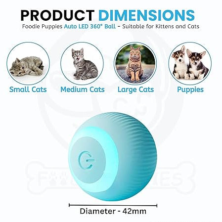 cat toys