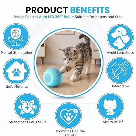toys for cat