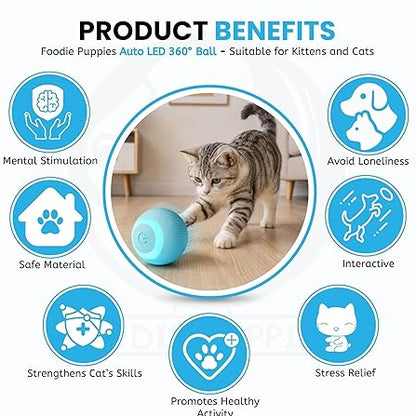 toys for cat