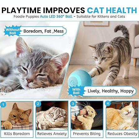 cat toy