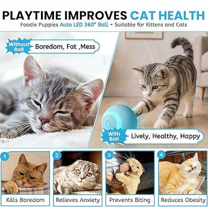 cat toy