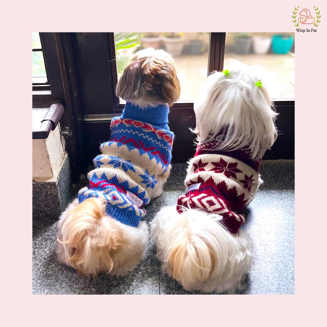 Snowflake Winter Dog Sweater – Warm, Soft & Stylish