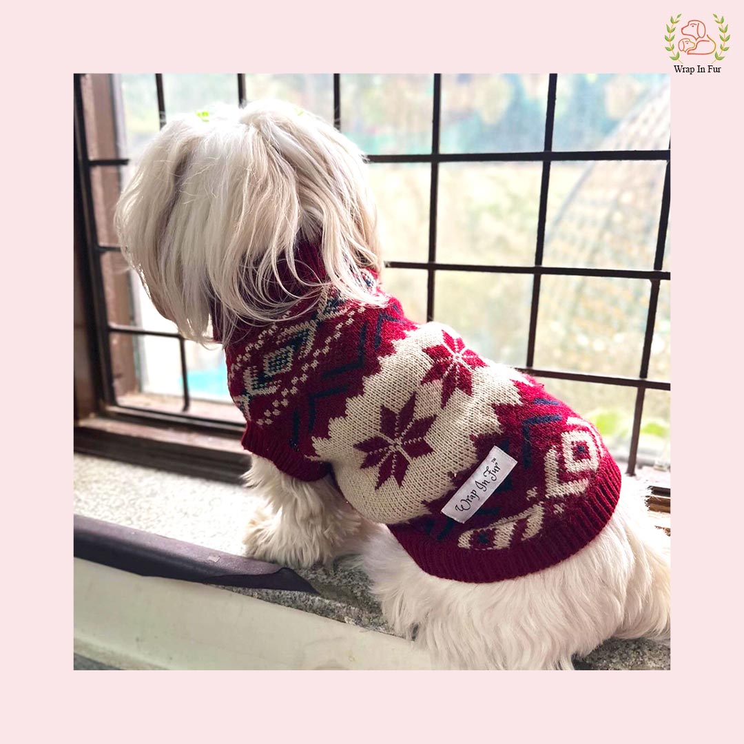 Snowflake Winter Dog Sweater – Warm, Soft & Stylish