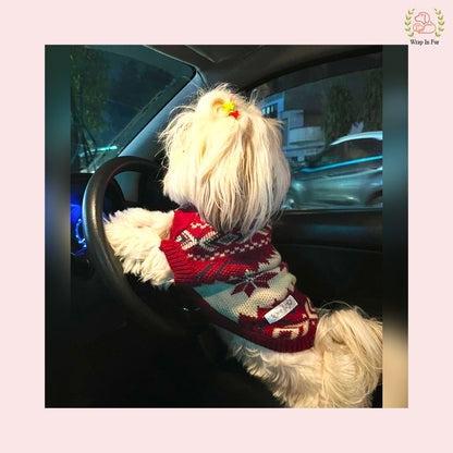 Snowflake Winter Dog Sweater – Warm, Soft & Stylish