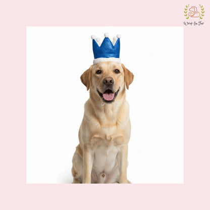 Blue Birthday Crown for Dogs – Party Hat & Celebration Accessory