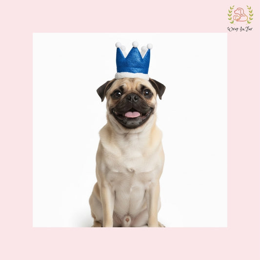 Blue Birthday Crown for Dogs – Party Hat & Celebration Accessory