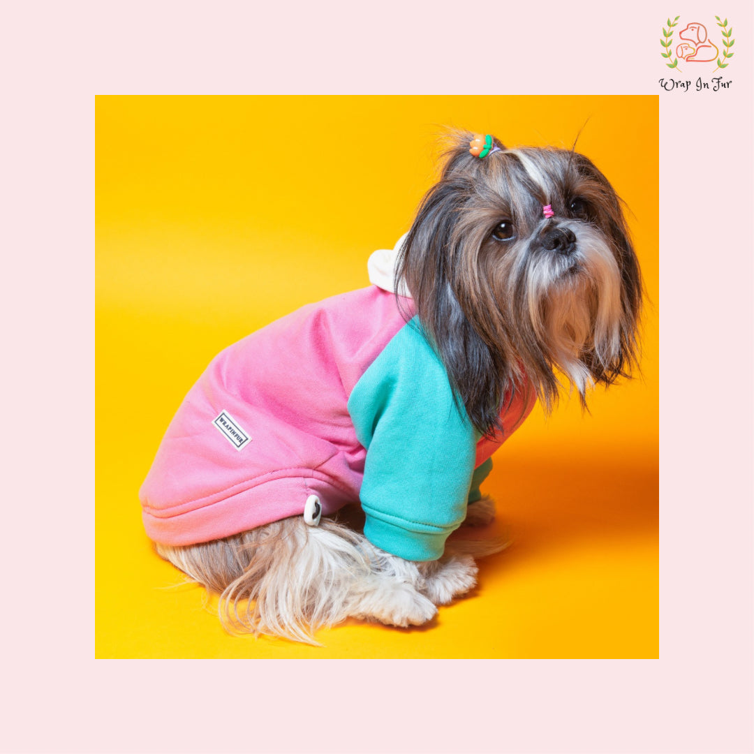 Soft Pastel Dog Hoodie – Warm & Cute Winter Wear