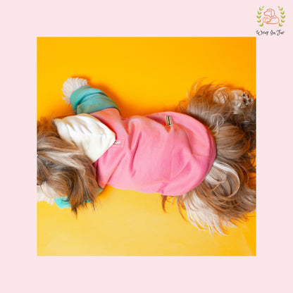 Soft Pastel Dog Hoodie – Warm & Cute Winter Wear