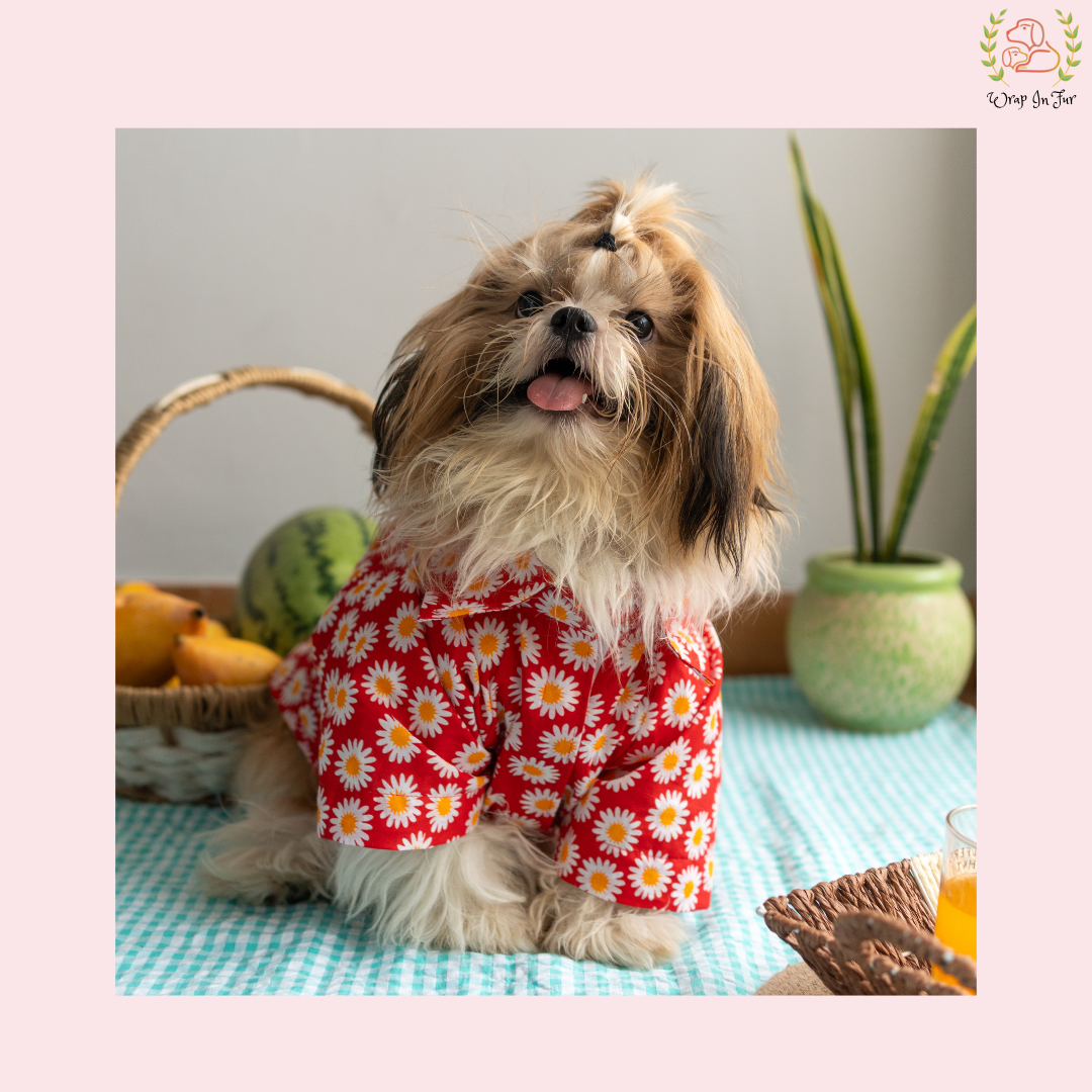 Stylish Cotton Dog Shirt for Pets
