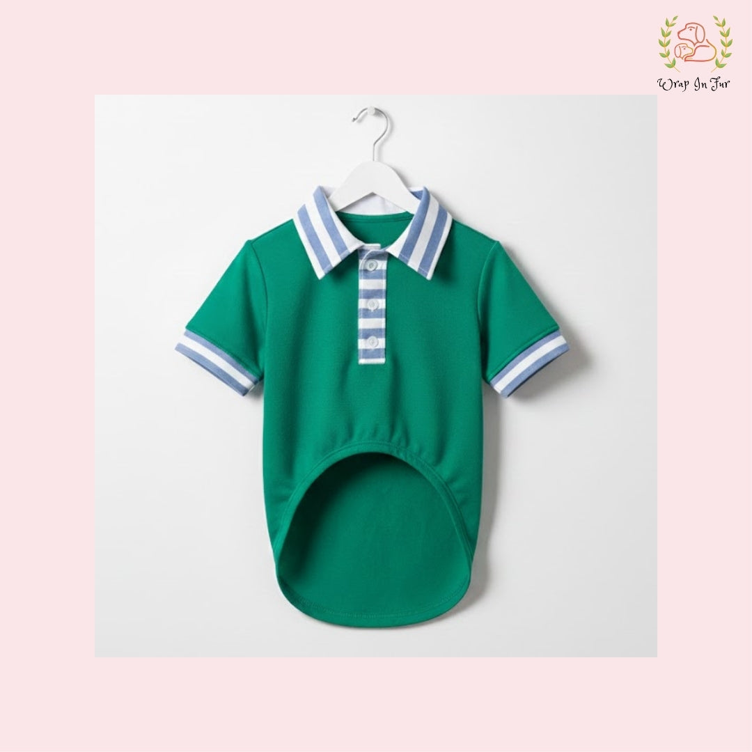 Stylish Green Dog Polo Shirt: Cozy Winter Wear for All Breeds