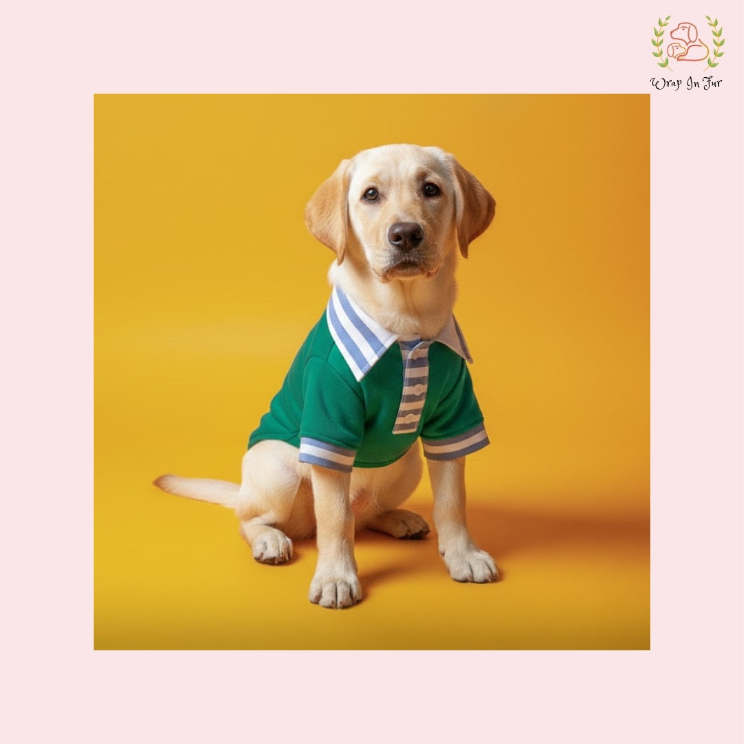 Stylish Green Dog Polo Shirt: Cozy Winter Wear for All Breeds