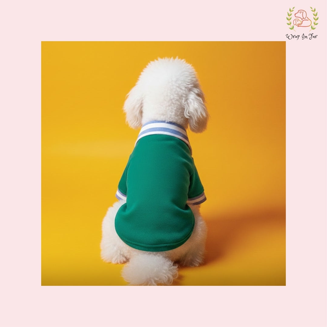 Stylish Green Dog Polo Shirt: Cozy Winter Wear for All Breeds