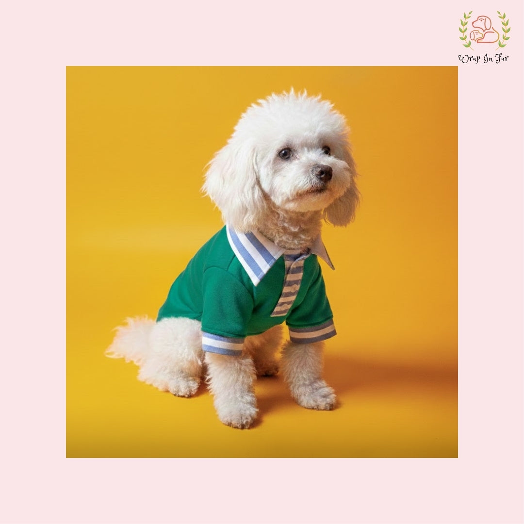 Stylish Green Dog Polo Shirt: Cozy Winter Wear for All Breeds