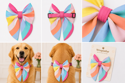 Summer Rainbow Dog Bow Collar
