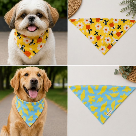 Summer Bandana Bundle For dogs
