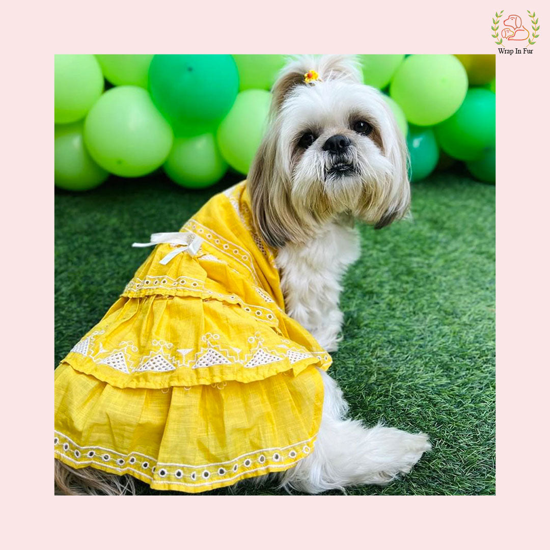Sunshine Yellow Embroidered Dog Princess Dress - Tiered Ruffle Frock