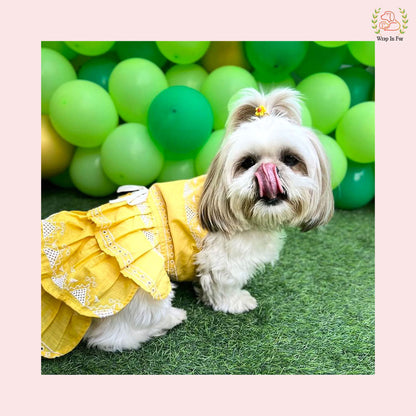 Sunshine Yellow Embroidered Dog Princess Dress - Tiered Ruffle Frock