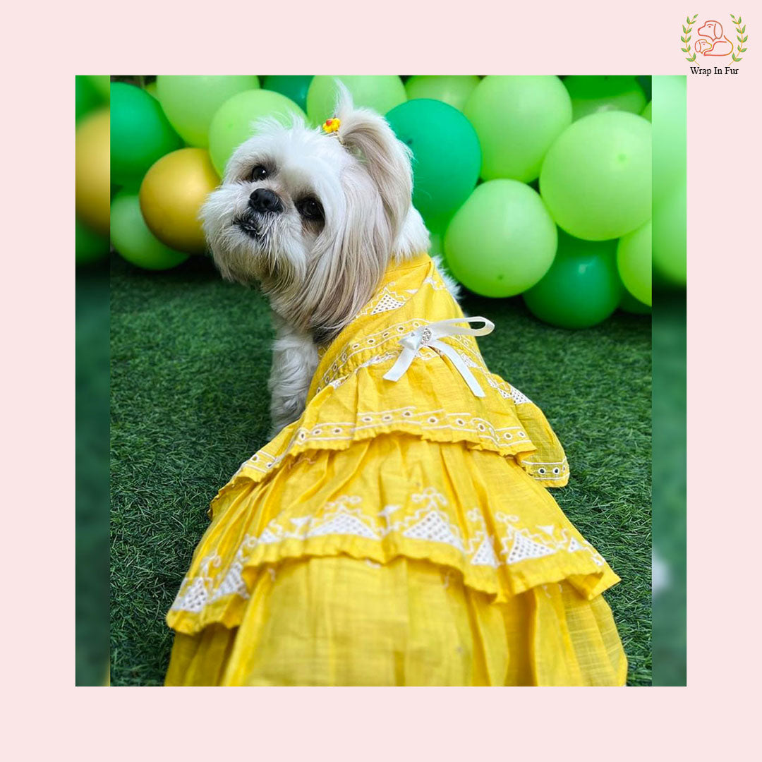 Sunshine Yellow Embroidered Dog Princess Dress - Tiered Ruffle Frock