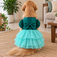 Teal Big Bow Dog Frock