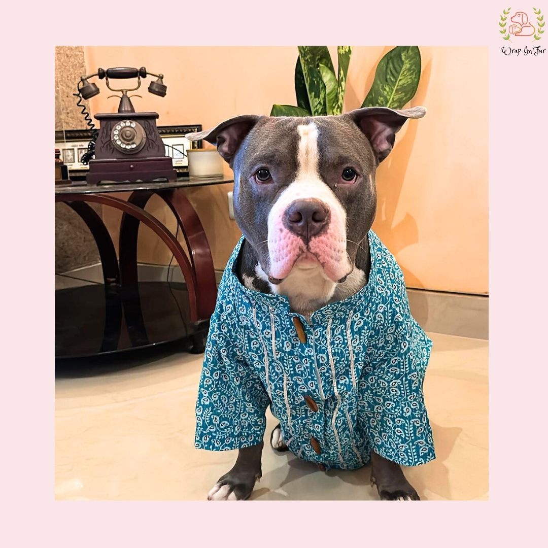 Big dog kurta, kurta for dogs online