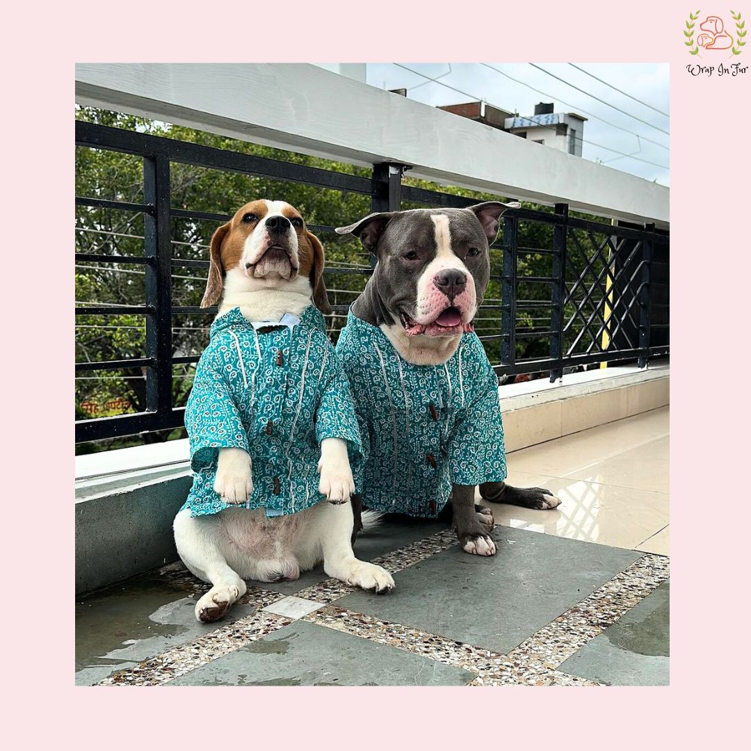 Teal Blue Gota Dog Kurta - Premium Indian Dog Ethnic Wear