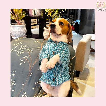 Teal Blue Gota Dog Kurta - Premium Indian Dog Ethnic Wear