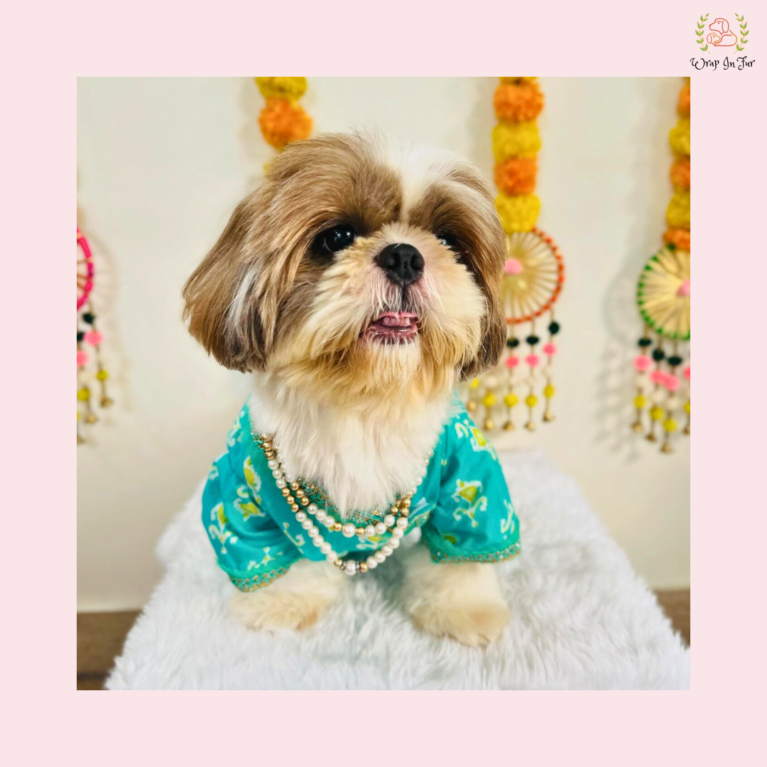 Teal Green Angarkha Dog Kurta - Premium Indian Dog Ethnic Wear