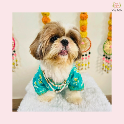 Teal Green Angarkha Dog Kurta - Premium Indian Dog Ethnic Wear