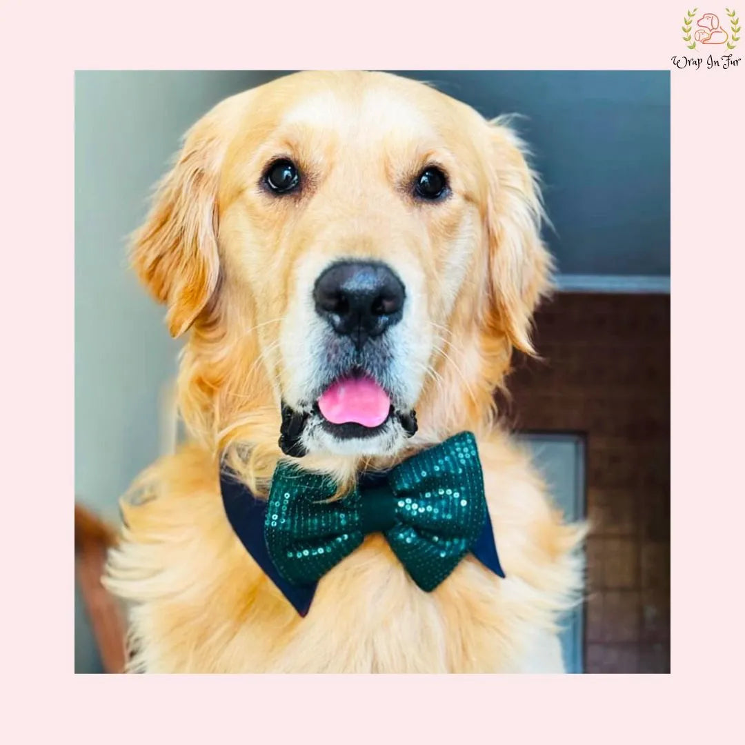 Teal Sequin Dog Bow Set - Sparkly Christmas Dog Accessory