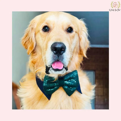Teal Sequin Dog Bow Set - Sparkly Christmas Dog Accessory