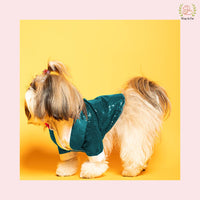 Teal Sequin Dog Tuxedo Jacket - Statement Wedding Formal Suit