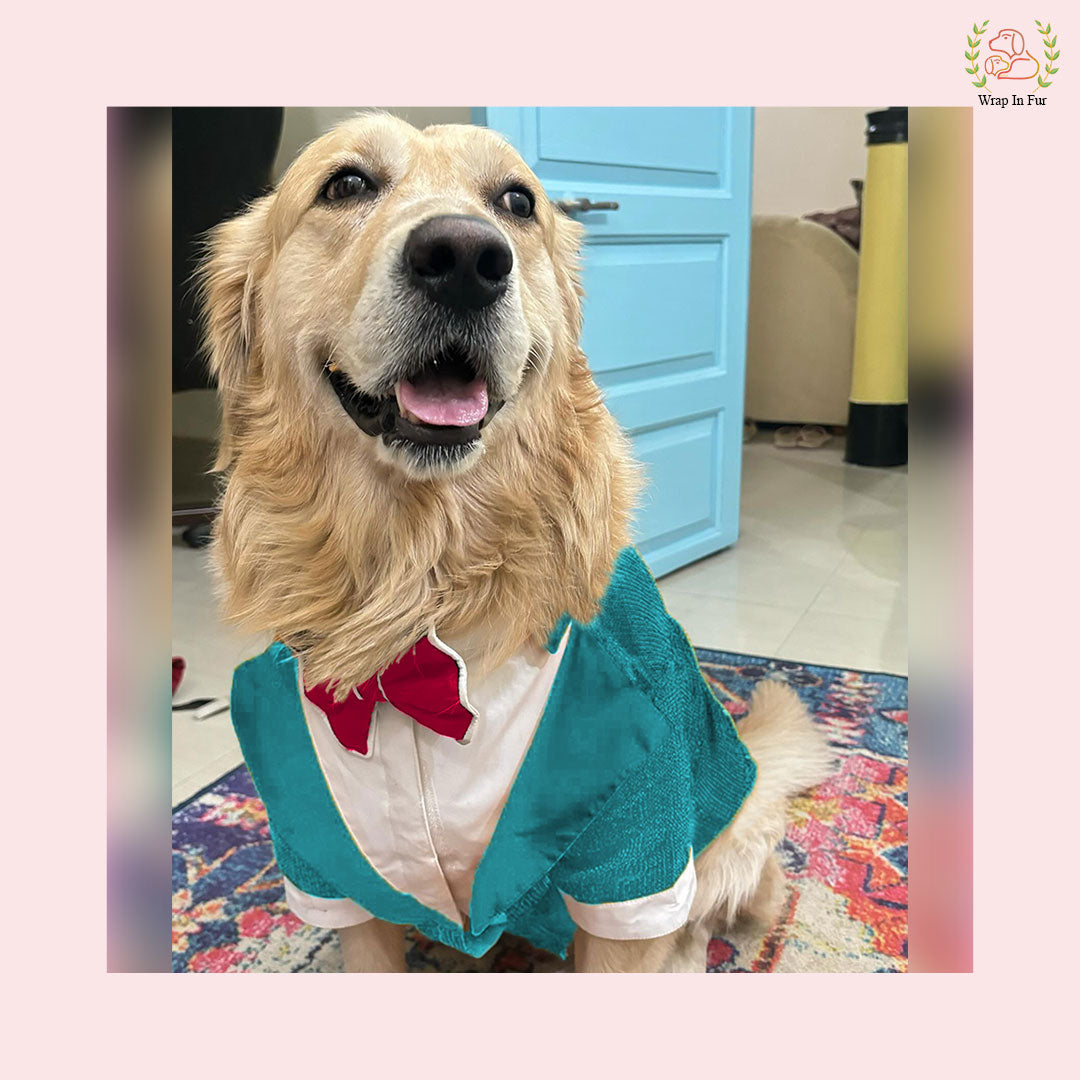 Teal Sequin Dog Tuxedo Jacket - Statement Wedding Formal Suit