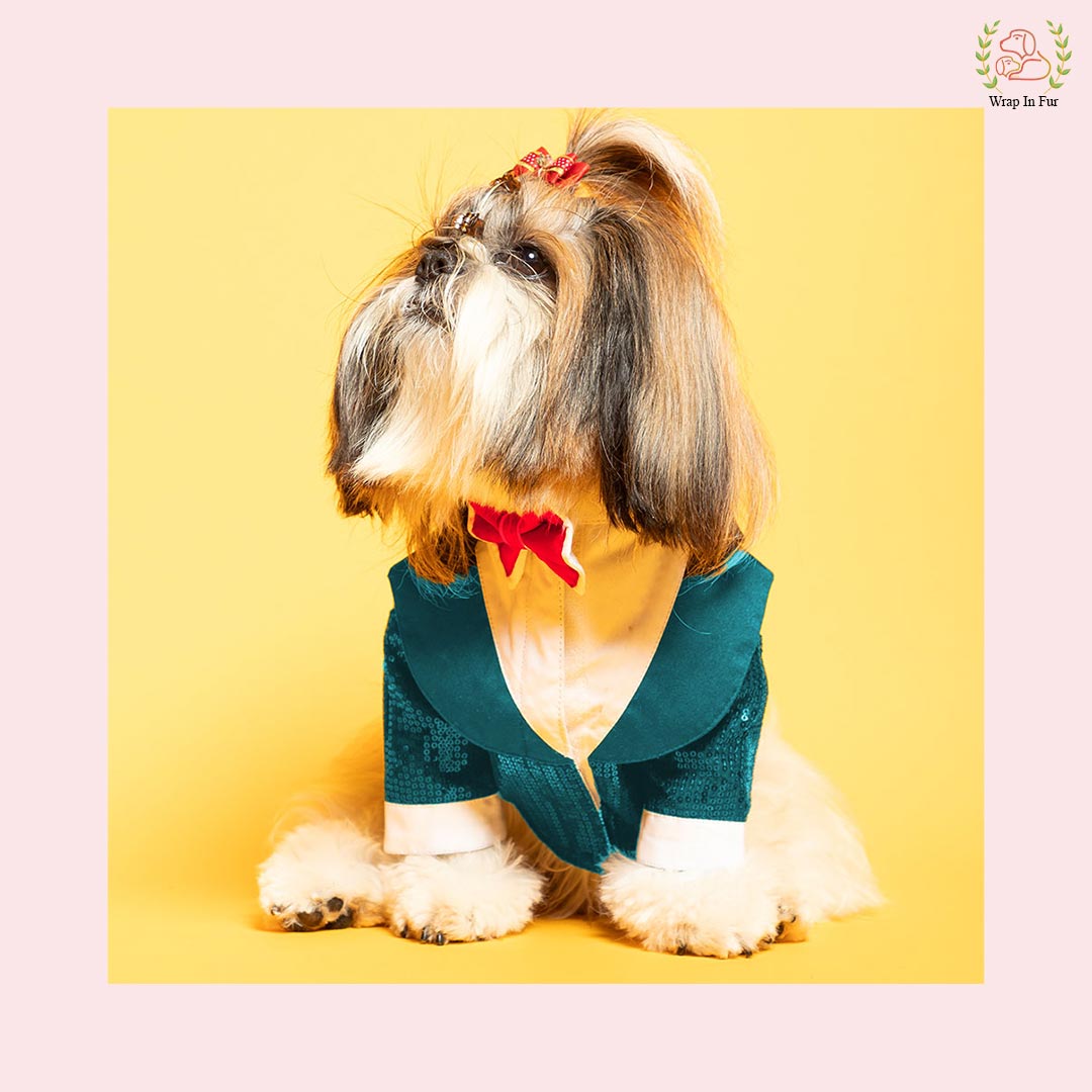 Teal Sequin Dog Tuxedo Jacket - Statement Wedding Formal Suit