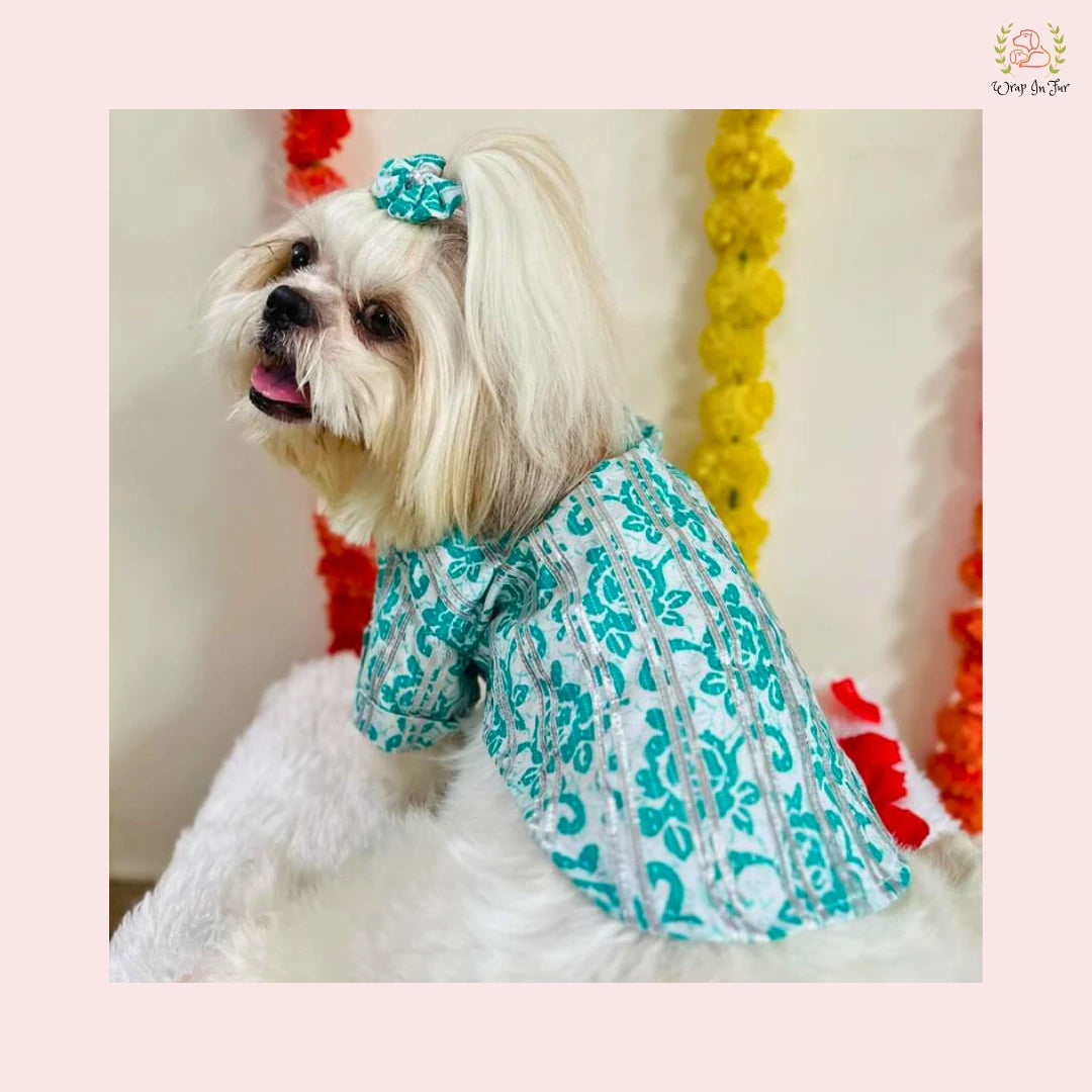 Teal & White Floral Dog Kurta - Traditional Indian Dog Ethnic Wear