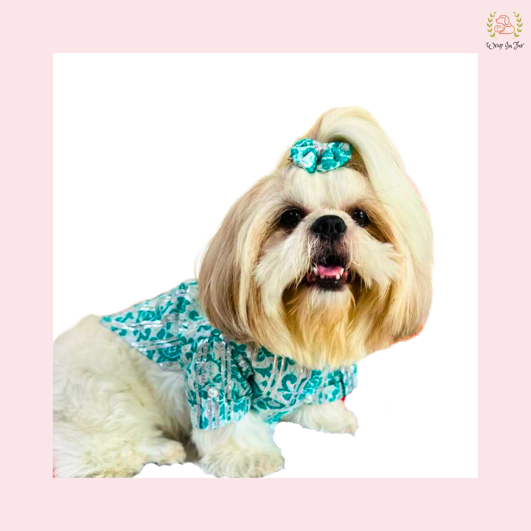 Teal & White Floral Dog Kurta - Traditional Indian Dog Ethnic Wear