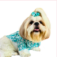 Teal & White Floral Dog Kurta - Traditional Indian Dog Ethnic Wear
