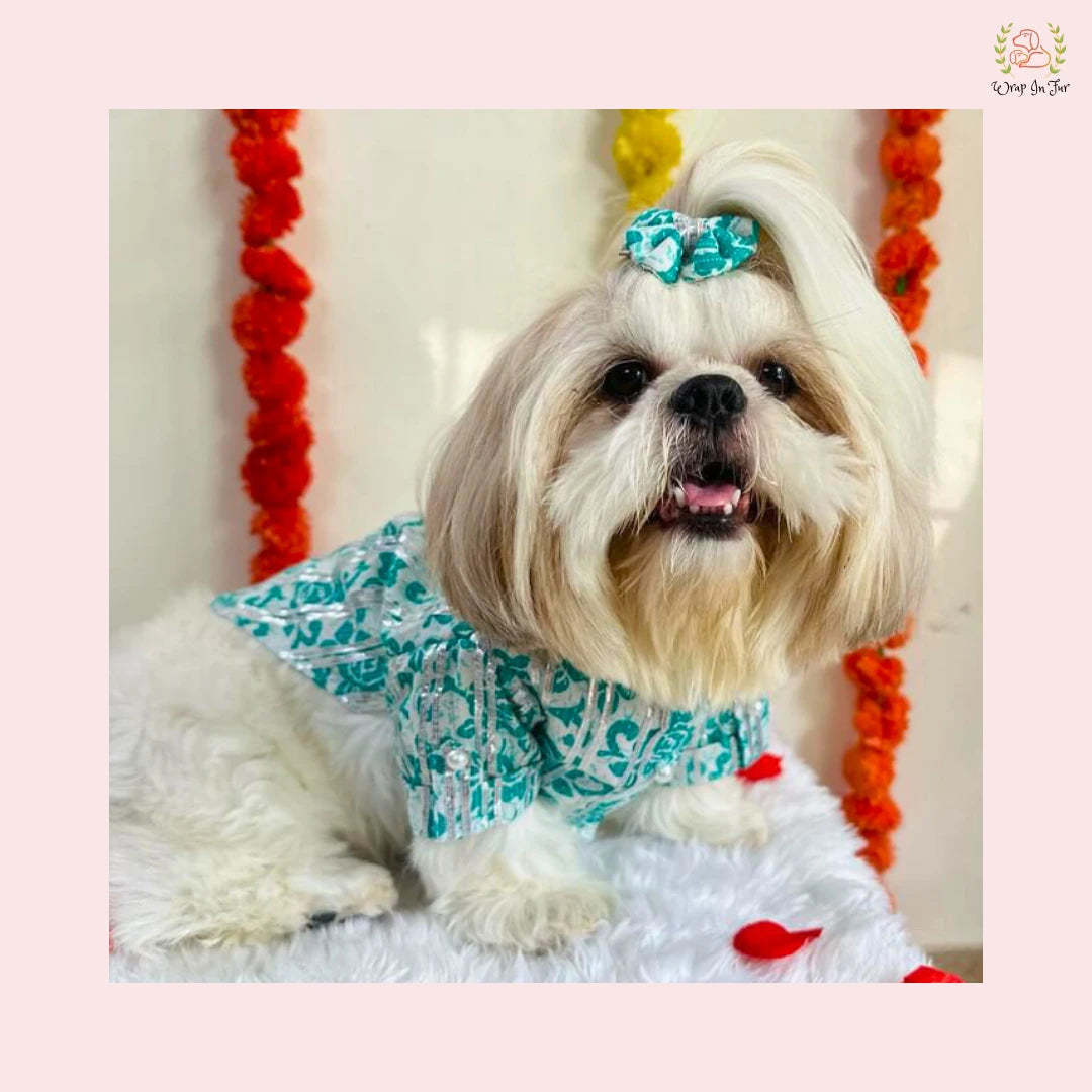 Teal & White Floral Dog Kurta - Traditional Indian Dog Ethnic Wear