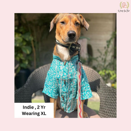 Indie teal gota kurta for dogs