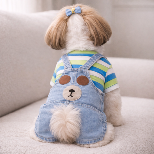 Teddy Denim Dungaree T-Shirt Set